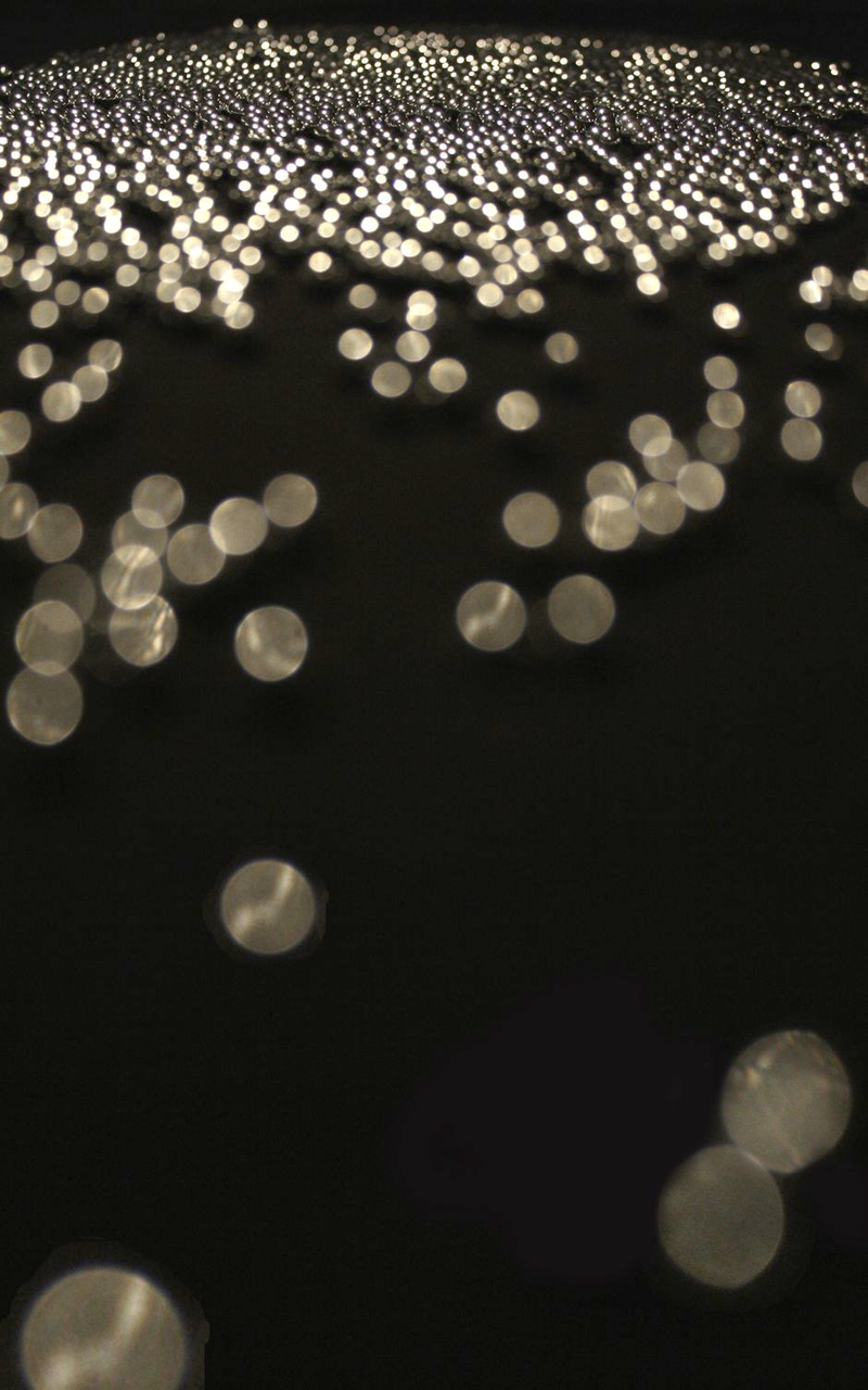 Illustration for article titled Shooting Challenge: Bokeh, Gallery 5